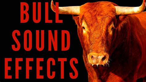 dreamy bull sounds|Dreamy bull sound